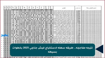نتيجة مفاجئة.. طريقة سهلة لاستخراج فيش جنائي 2025 بخطوات بسيطة